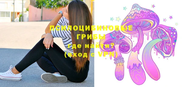 ГАЛЛЮЦИНОГЕННЫЕ ГРИБЫ Алексеевка