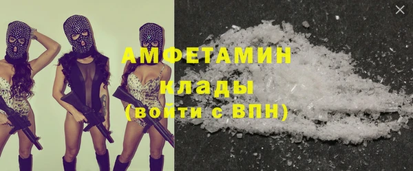 сатива Сатка