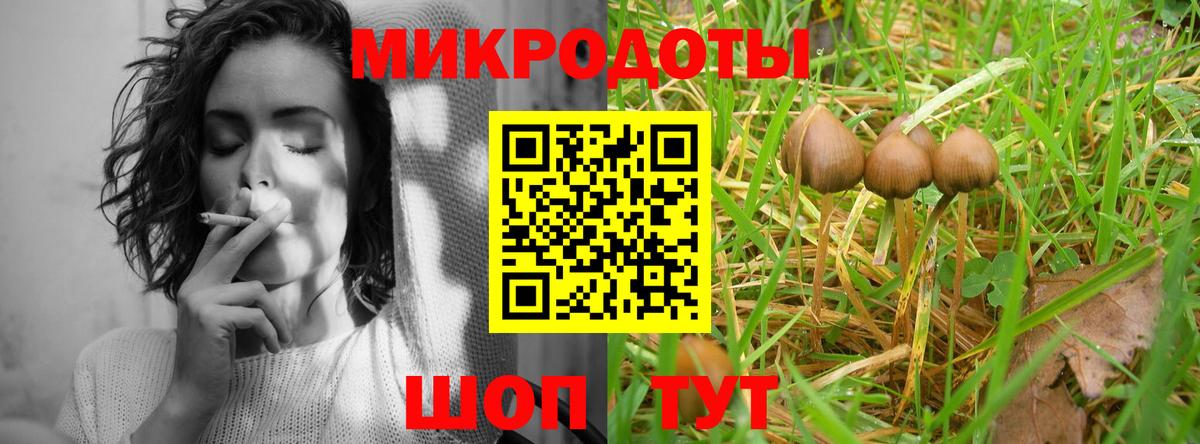 Галлюциногенные грибы Psilocybine cubensis  Вход с VPN  Балашов 