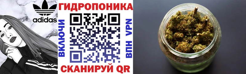 omg ONION  Балашов  Каннабис индика 